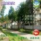 S-联萘酚